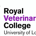 royal vet
